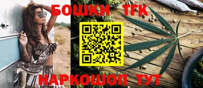 индика Тверь