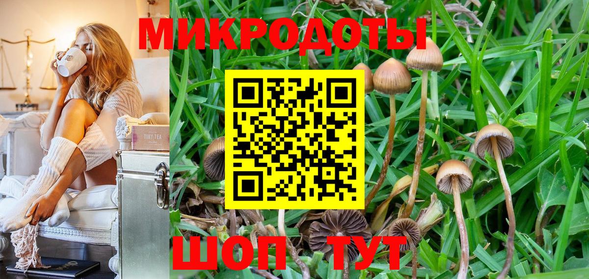Нижний Тагил  Псилоцибиновые грибы мухоморы  Вход с VPN 